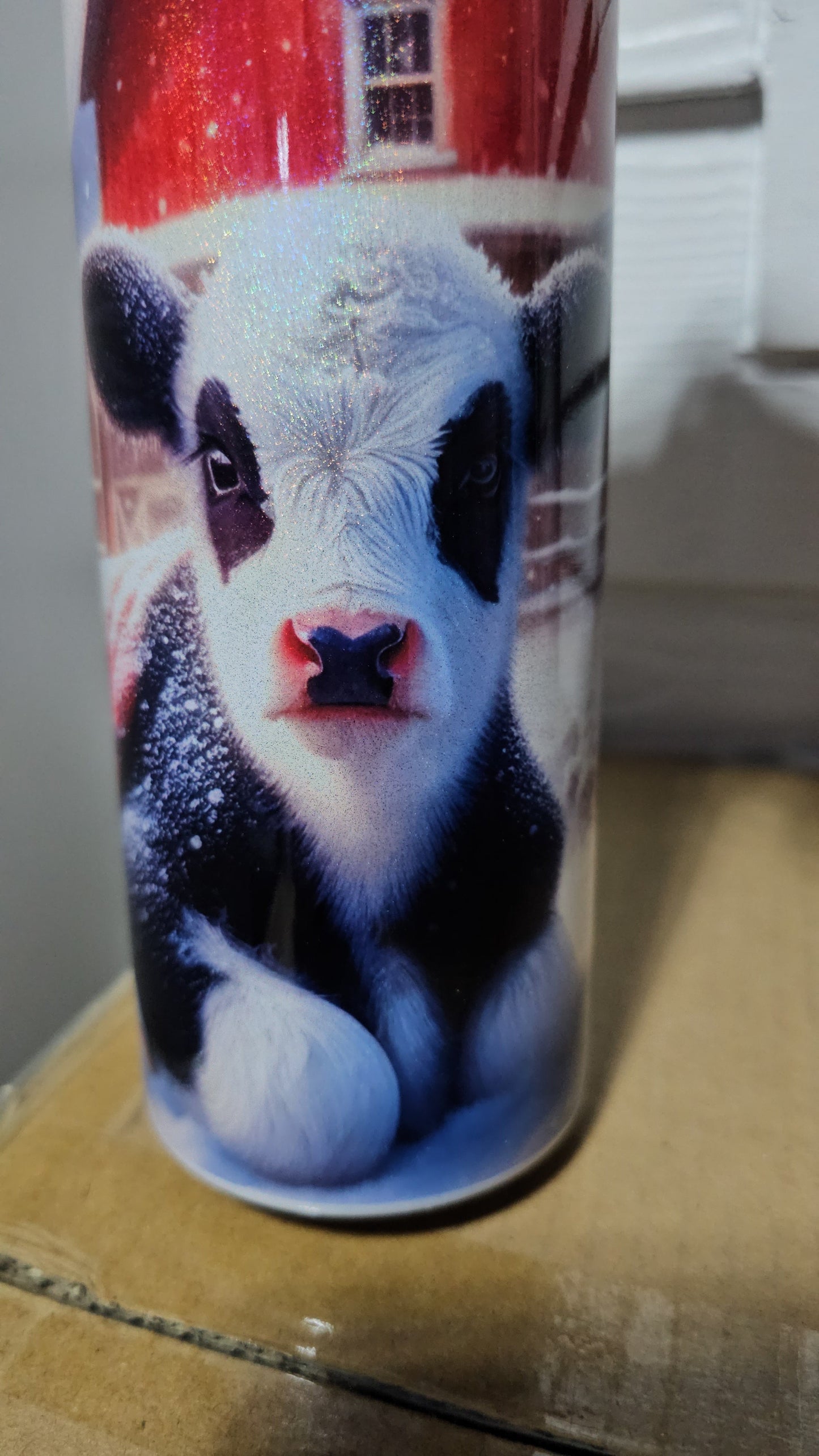 Cow with blanket in snow, holstein calf